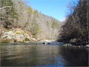 Spring Creek 1